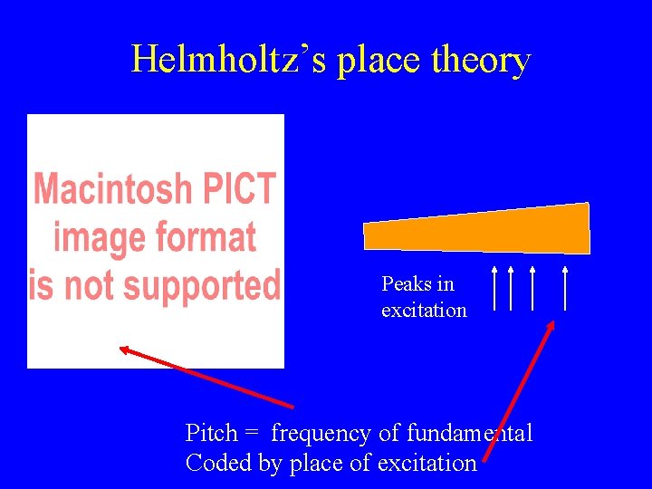 Helmholtz’s place theory Peaks in excitation Pitch = frequency of fundamental Coded by place