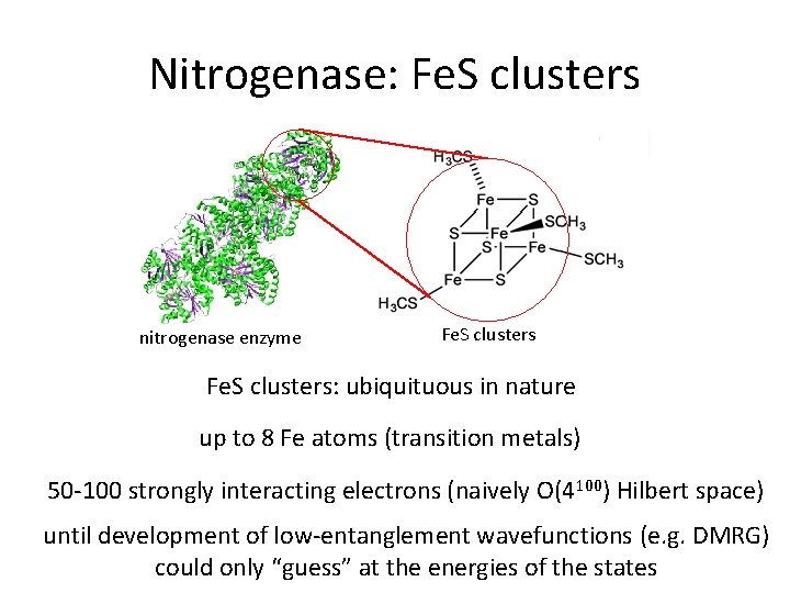 Nitrogenase: Fe. S clusters nitrogenase enzyme Fe. S clusters: ubiquituous in nature up to
