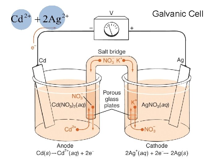 Galvanic Cell 