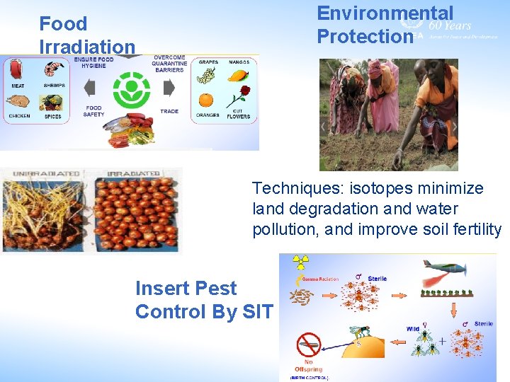 Environmental Protection Food Irradiation Techniques: isotopes minimize land degradation and water pollution, and improve