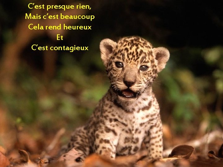 C’est presque rien, Mais c’est beaucoup Cela rend heureux Et C’est contagieux 