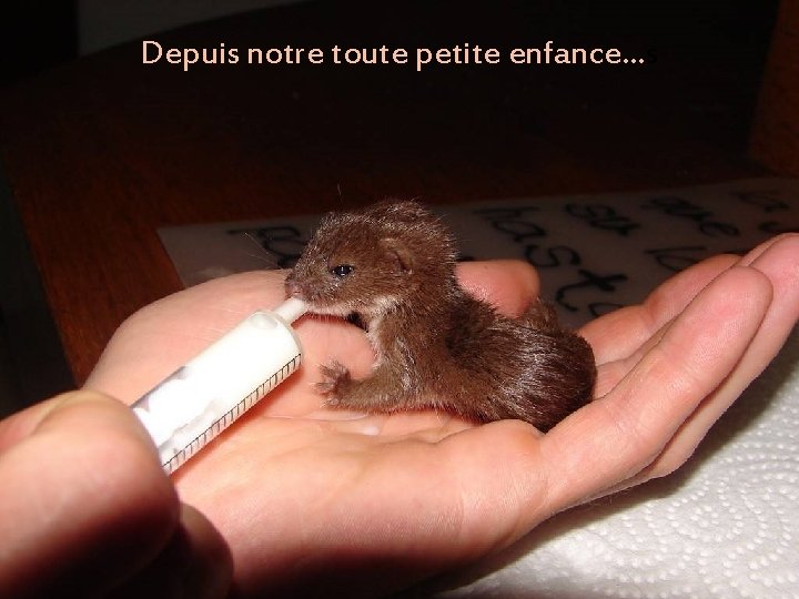 Depuis notre toute petite enfance…s 