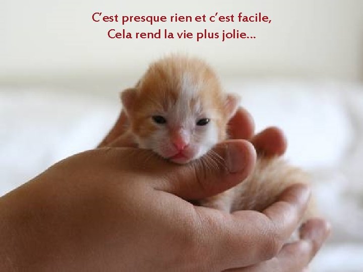 C’est presque rien et c’est facile, Cela rend la vie plus jolie… 