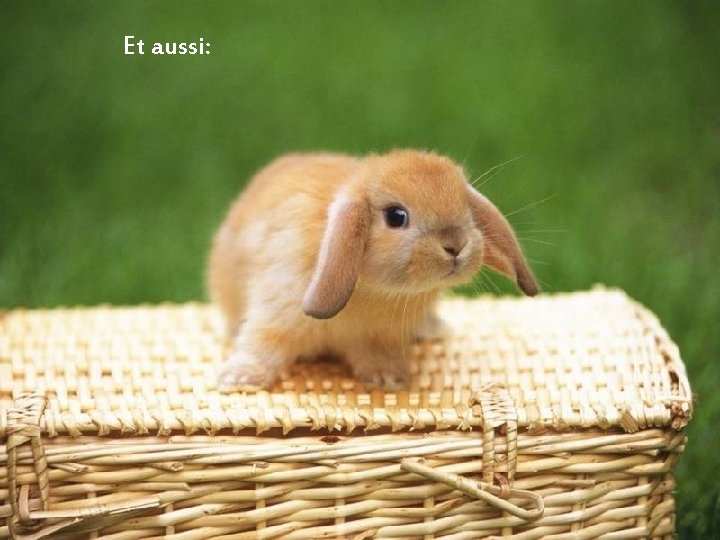 Et aussi: 