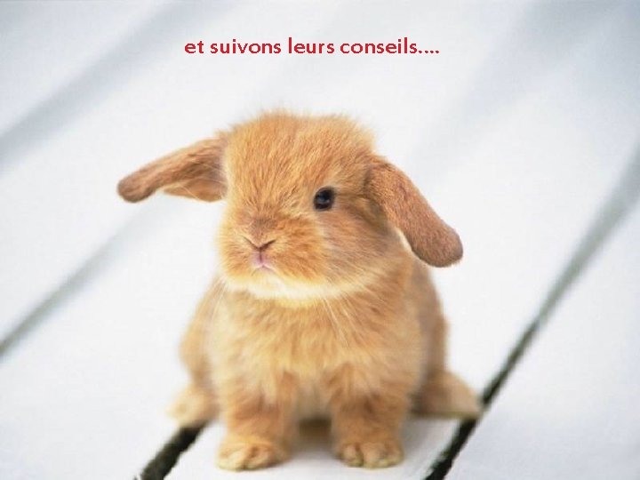 et suivons leurs conseils…. 