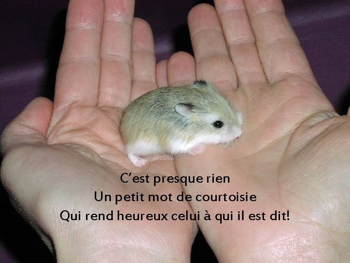 C’est presque rien Un petit mot de courtoisie Qui rend heureux celui à qui