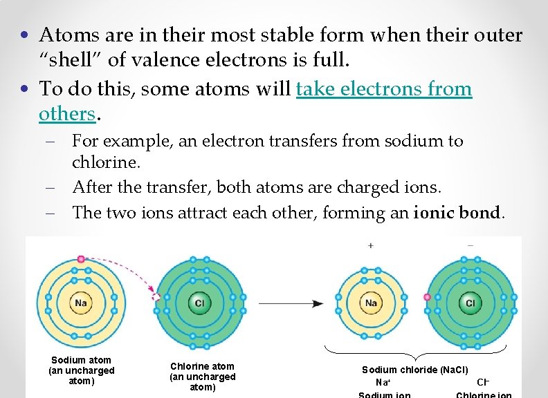  • Atoms are in their most stable form when their outer “shell” of