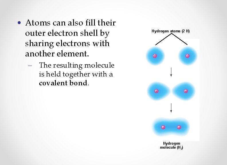  • Atoms can also fill their outer electron shell by sharing electrons with