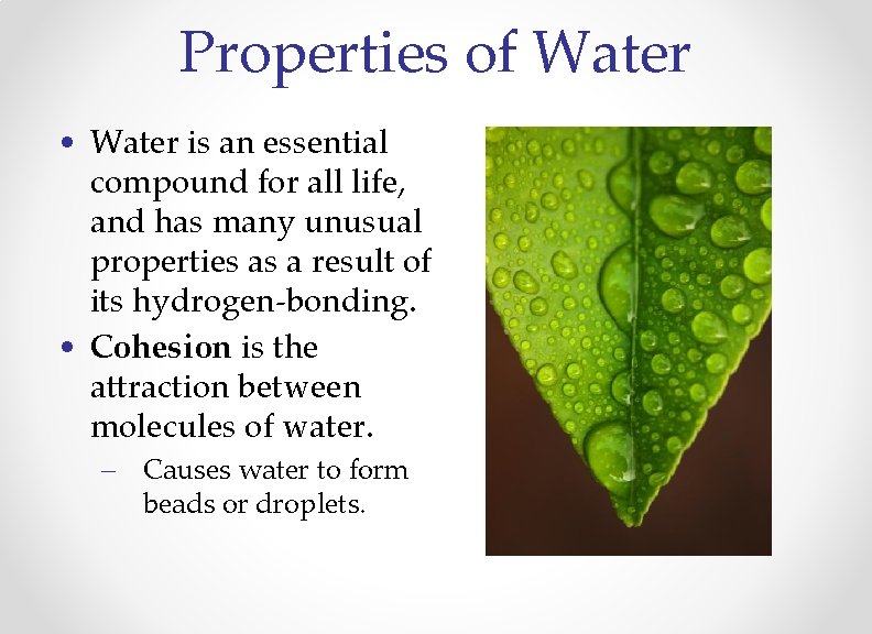 Properties of Water • Water is an essential compound for all life, and has