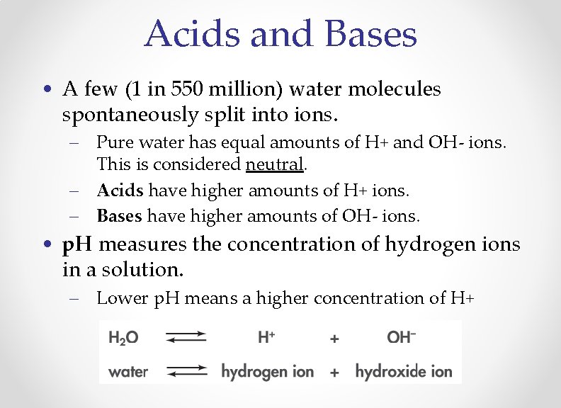 Acids and Bases • A few (1 in 550 million) water molecules spontaneously split