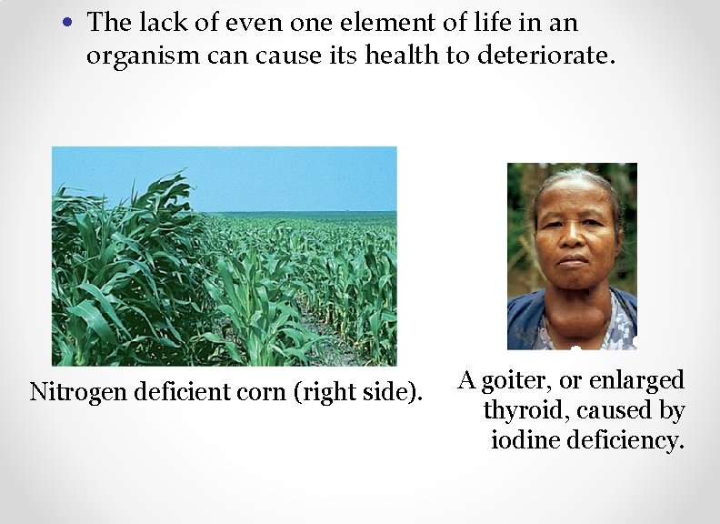  • The lack of even one element of life in an organism can