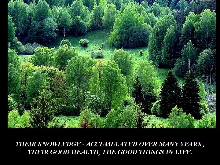 THEIR KNOWLEDGE - ACCUMULATED OVER MANY YEARS , THEIR GOOD HEALTH, THE GOOD THINGS THEIR KNOWLEDGE - ACCUMULATED OVER MANY YEARS , THEIR GOOD HEALTH, THE GOOD THINGS
