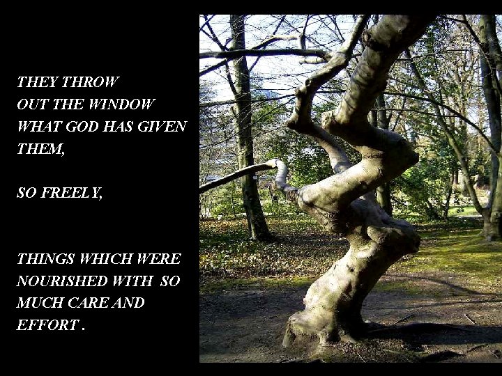 THEY THROW OUT THE WINDOW WHAT GOD HAS GIVEN THEM, SO FREELY, THINGS WHICH THEY THROW OUT THE WINDOW WHAT GOD HAS GIVEN THEM, SO FREELY, THINGS WHICH