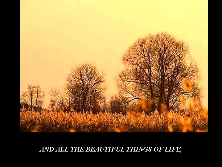 AND ALL THE BEAUTIFUL THINGS OF LIFE, AND ALL THE BEAUTIFUL THINGS OF LIFE,