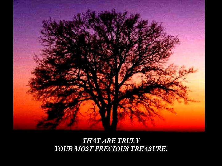 THAT ARE TRULY YOUR MOST PRECIOUS TREASURE. THAT ARE TRULY YOUR MOST PRECIOUS TREASURE.