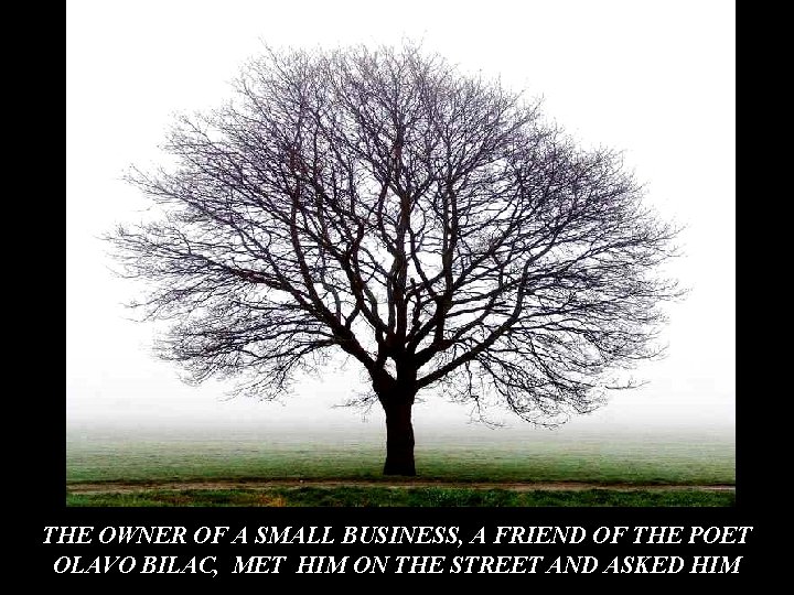 THE OWNER OF A SMALL BUSINESS, A FRIEND OF THE POET OLAVO BILAC, MET THE OWNER OF A SMALL BUSINESS, A FRIEND OF THE POET OLAVO BILAC, MET