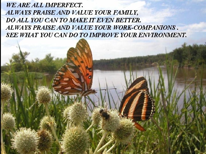WE ARE ALL IMPERFECT. ALWAYS PRAISE AND VALUE YOUR FAMILY, DO ALL YOU CAN WE ARE ALL IMPERFECT. ALWAYS PRAISE AND VALUE YOUR FAMILY, DO ALL YOU CAN