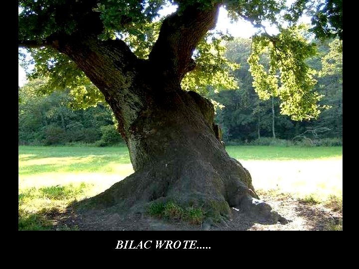 BILAC WROTE. . . BILAC WROTE. . .