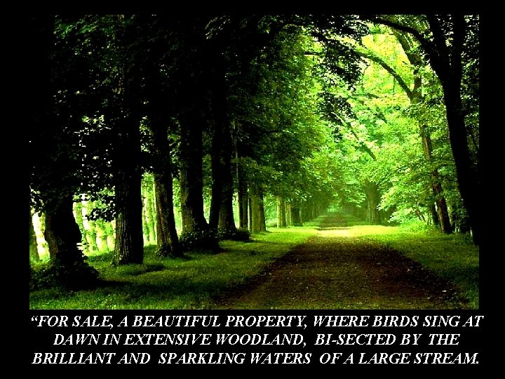 “FOR SALE, A BEAUTIFUL PROPERTY, WHERE BIRDS SING AT DAWN IN EXTENSIVE WOODLAND, BI-SECTED “FOR SALE, A BEAUTIFUL PROPERTY, WHERE BIRDS SING AT DAWN IN EXTENSIVE WOODLAND, BI-SECTED