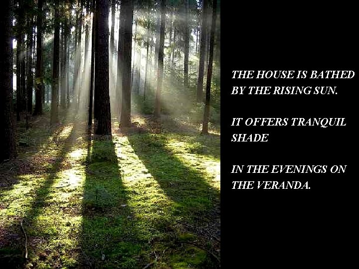 THE HOUSE IS BATHED BY THE RISING SUN. IT OFFERS TRANQUIL SHADE IN THE THE HOUSE IS BATHED BY THE RISING SUN. IT OFFERS TRANQUIL SHADE IN THE