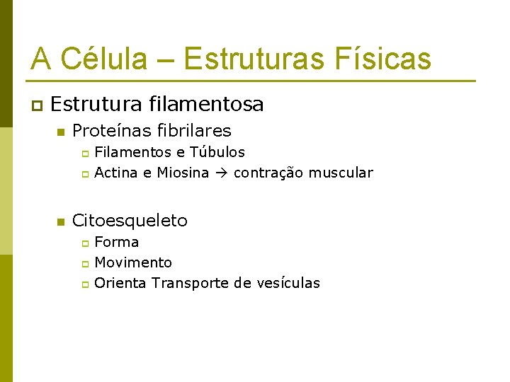 A Célula – Estruturas Físicas p Estrutura filamentosa n Proteínas fibrilares Filamentos e Túbulos