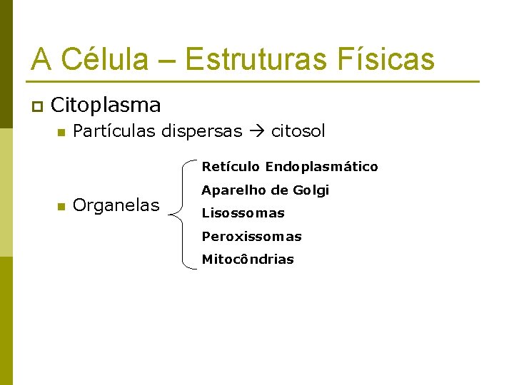 A Célula – Estruturas Físicas p Citoplasma n Partículas dispersas citosol Retículo Endoplasmático n