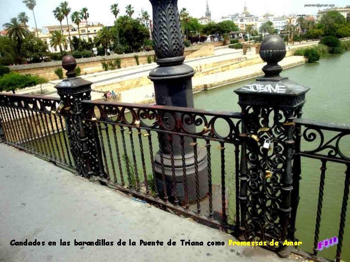 Candados en las barandillas de la Puente de Triana como Promessas de Amor 