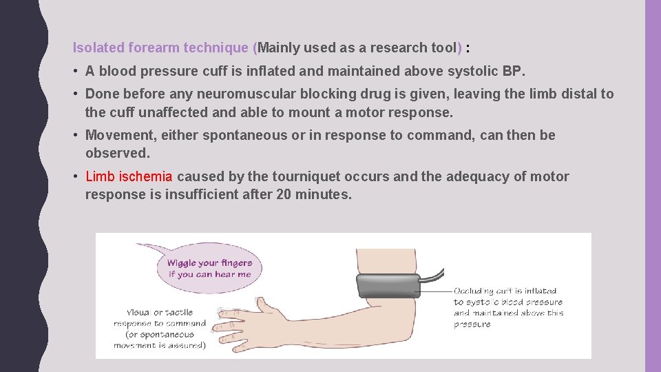 Isolated forearm technique (Mainly used as a research tool) : • A blood pressure