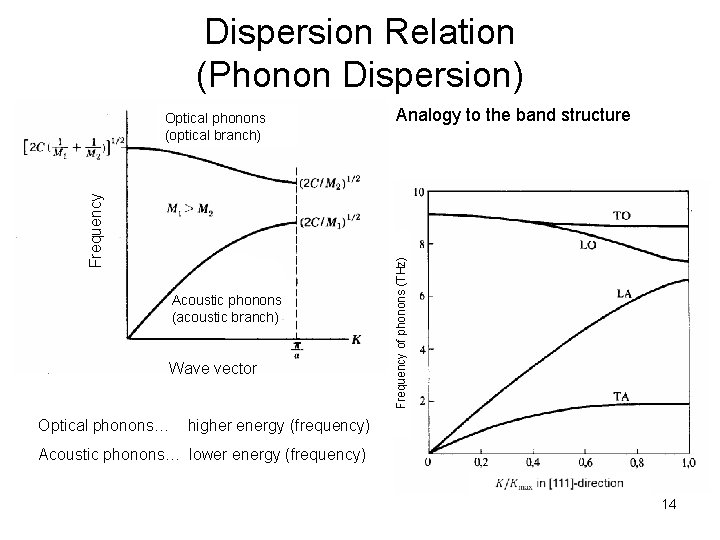 Dispersion Relation (Phonon Dispersion) Acoustic phonons (acoustic branch) Wave vector Analogy to the band