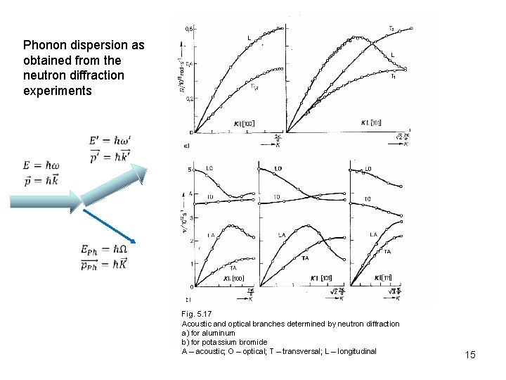 Phonon dispersion as obtained from the neutron diffraction experiments Fig. 5. 17 Acoustic and