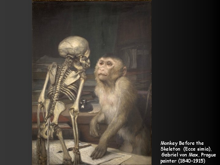 Monkey Before the Skeleton (Ecce simia), Gabriel von Max, Prague painter (1840 -1915) 