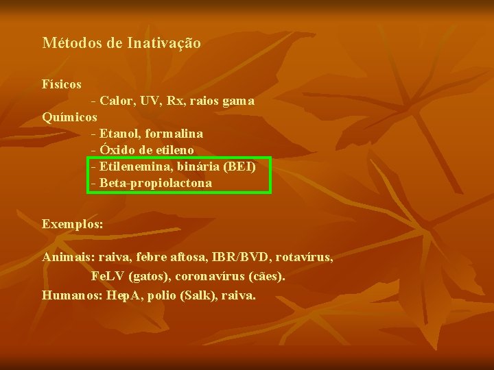 Métodos de Inativação Físicos - Calor, UV, Rx, raios gama Químicos - Etanol, formalina