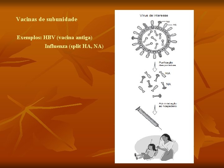 Vacinas de subunidade Exemplos: HBV (vacina antiga) Influenza (split HA, NA) Vacinas de subunidade Exemplos: HBV (vacina antiga) Influenza (split HA, NA)