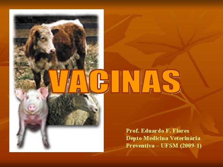 Prof. Eduardo F. Flores Depto Medicina Veterinária Preventiva – UFSM (2009 -1) 