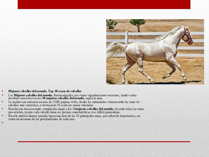  • • • Mejores caballos del mundo. Top 10 razas de caballos Los