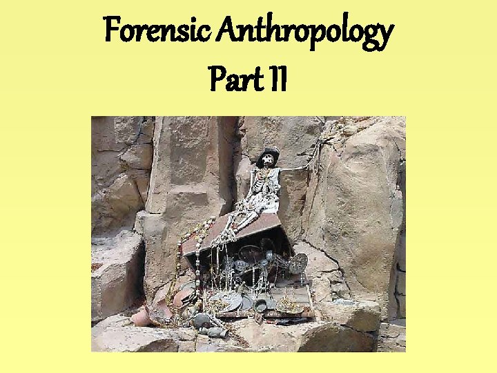 Forensic Anthropology Part II 