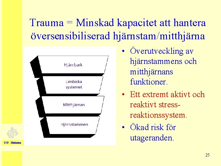 Trauma = Minskad kapacitet att hantera översensibiliserad hjärnstam/mitthjärna BUP - Elefanten • Överutveckling av