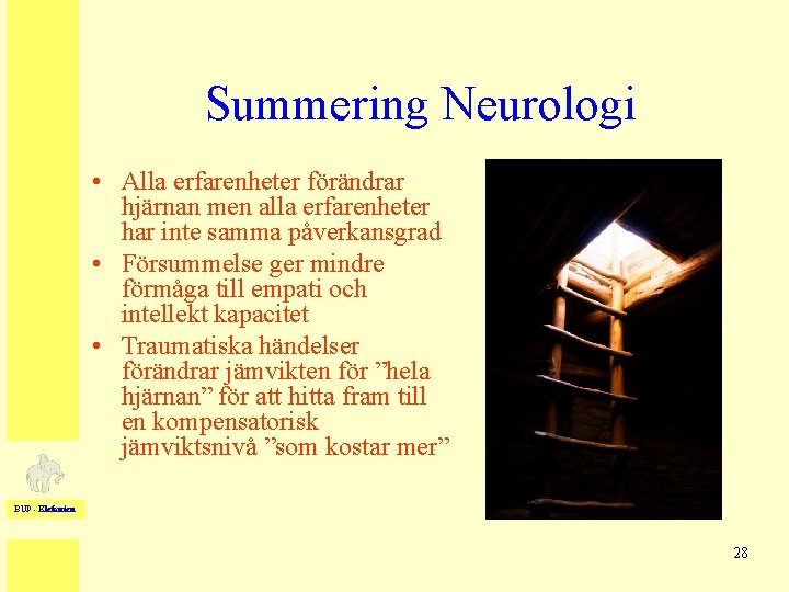 Summering Neurologi • Alla erfarenheter förändrar hjärnan men alla erfarenheter har inte samma påverkansgrad