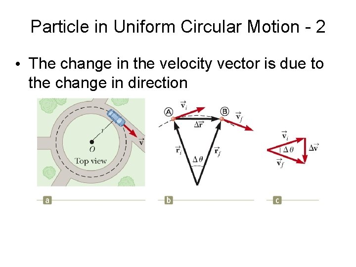Particle in Uniform Circular Motion - 2 • The change in the velocity vector