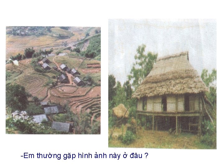 -Em thường gặp hình ảnh này ở đâu ? -Em thường gặp hình ảnh này ở đâu ?