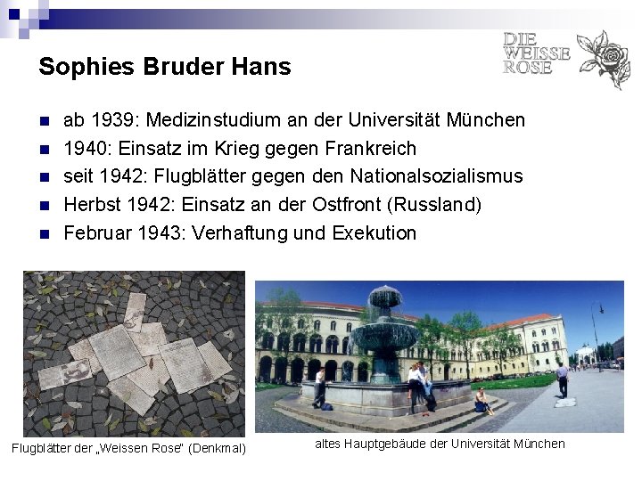 Sophies Bruder Hans n n n ab 1939: Medizinstudium an der Universität München 1940: