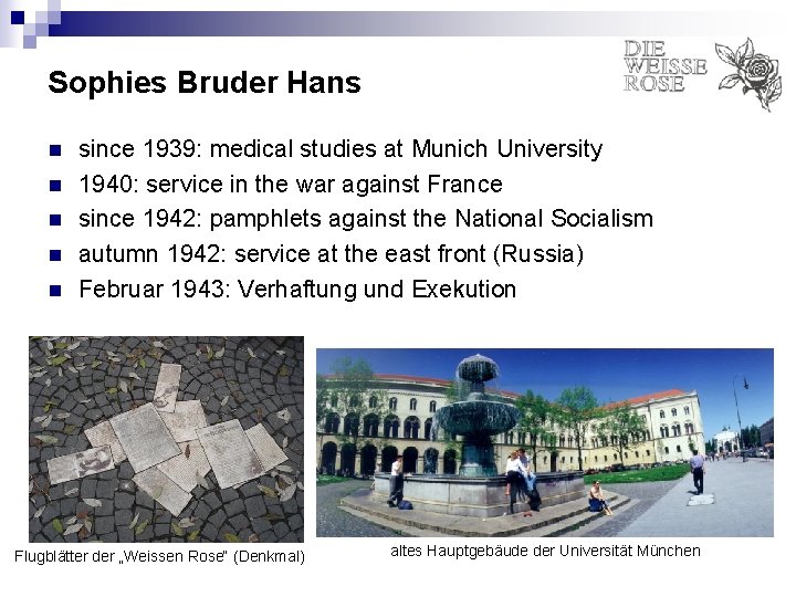 Sophies Bruder Hans n n n since 1939: medical studies at Munich University 1940: