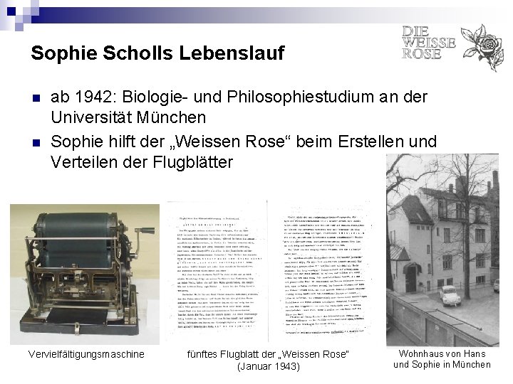 Sophie Scholls Lebenslauf n n ab 1942: Biologie- und Philosophiestudium an der Universität München