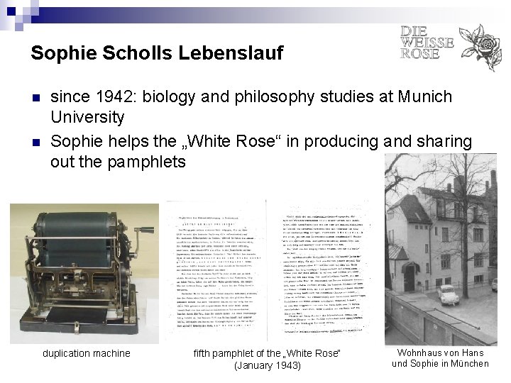 Sophie Scholls Lebenslauf n n since 1942: biology and philosophy studies at Munich University