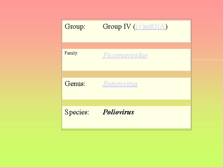 Group: Group IV ((+)ss. RNA) Family: Picornaviridae Genus: Enterovirus Species: Poliovirus 