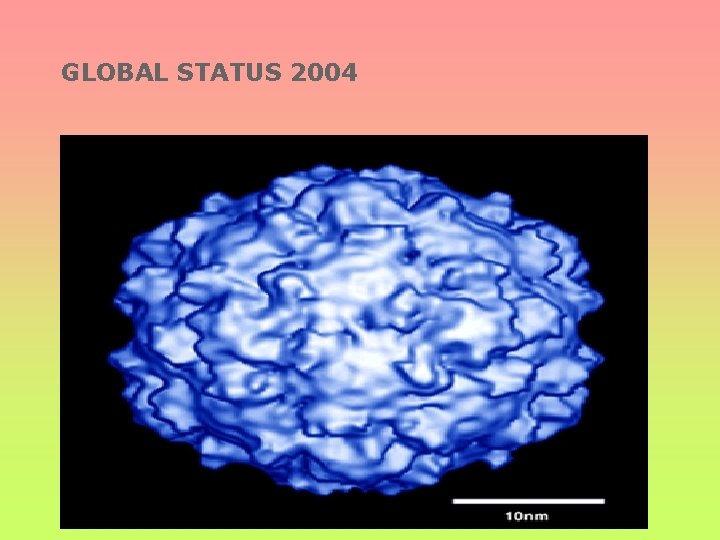 GLOBAL STATUS 2004 