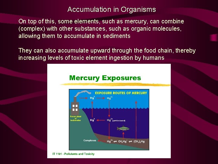 Accumulation in Organisms On top of this, some elements, such as mercury, can combine
