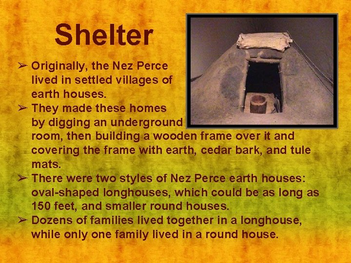 Shelter ➢ Originally, the Nez Perce lived in settled villages of earth houses. ➢