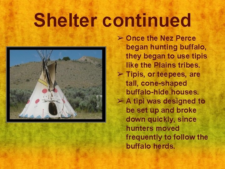 Shelter continued ➢ Once the Nez Perce began hunting buffalo, they began to use
