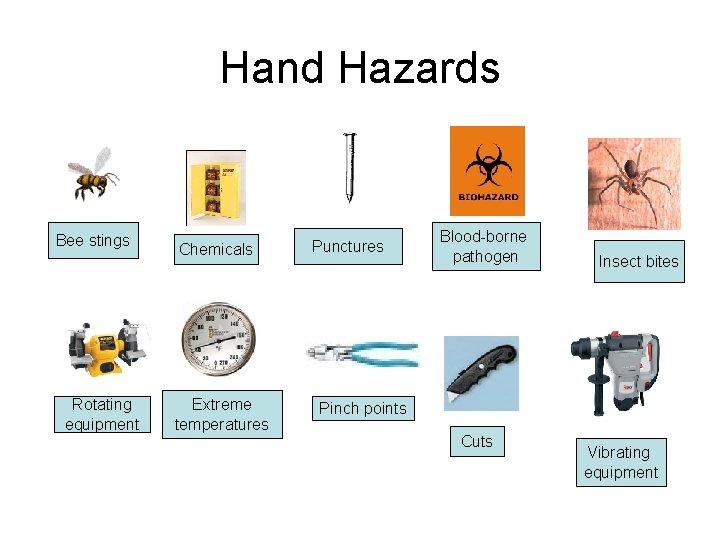 Hand Hazards Bee stings Rotating equipment Chemicals Extreme temperatures Punctures Blood-borne pathogen Insect bites